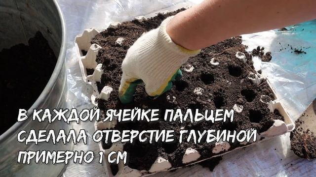 Не выкидывайте лотки из-под яиц. Покажу, как я их использую у себя в огороде не по назначению смотреть онлайн