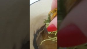 Одуванчики. Для чего они нужны? Стебли одуванчика до и после сушки.