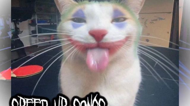 плейлист рандомных песен |speed up playlist|3 смотреть онлайн