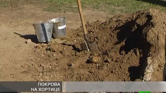 Новости МТМ - Запорожский Дуб расширяет владения - 10.10.2014 смотреть онлайн