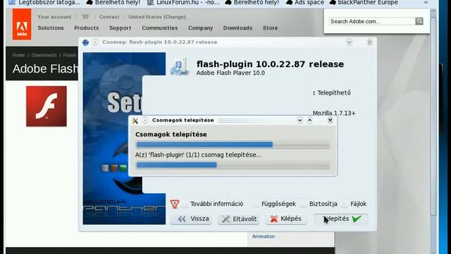 Telepítő-varászló: Flash Player telepítés (Archív: 2010 aug. 27) смотреть онлайн