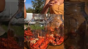 Донские раки. Ловим, готовим и консервируем или купорим