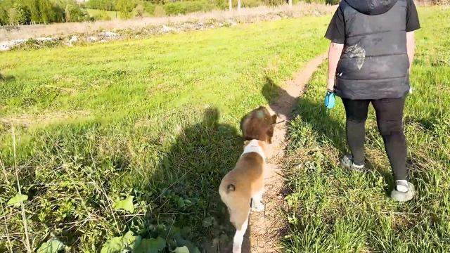 У спасённого медвежонка Пряника проблемы ИЗ-ЗА УЖАСНОГО ПИТАНИЯ! Мишка НАШЕЛ СЕБЕ ПЕРВОГО ДРУГА!