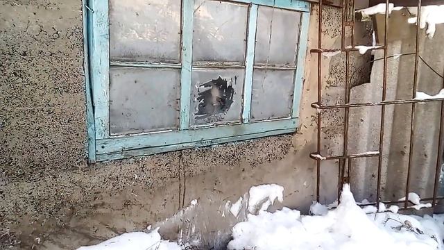 Необычная дружба собаки и поросенка/Funny And Cute Animals Videos Compilation смотреть онлайн
