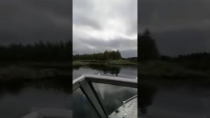 Казанка 5М 4 по протоке