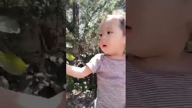 "Әкем-асқар тауым" конкурсының қатысушысы Мұрат Әбілмансұр смотреть онлайн