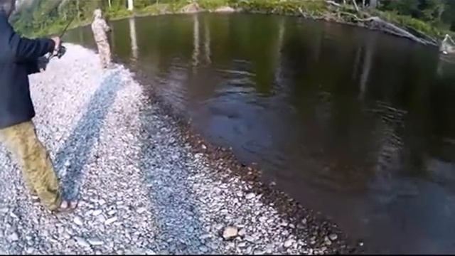 Таймень на ультролайт. Taimen On Ultralight .Fishing On The Amur
