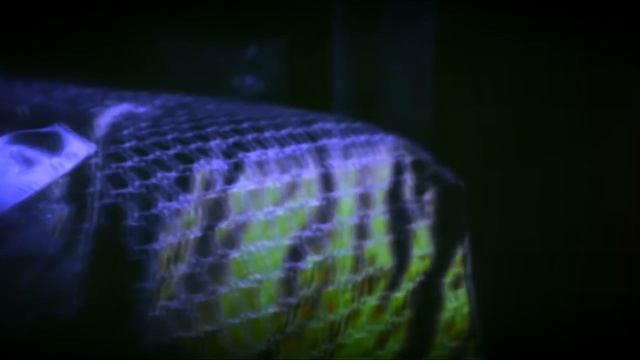 Jasper & Eleanor| 3x05 смотреть онлайн