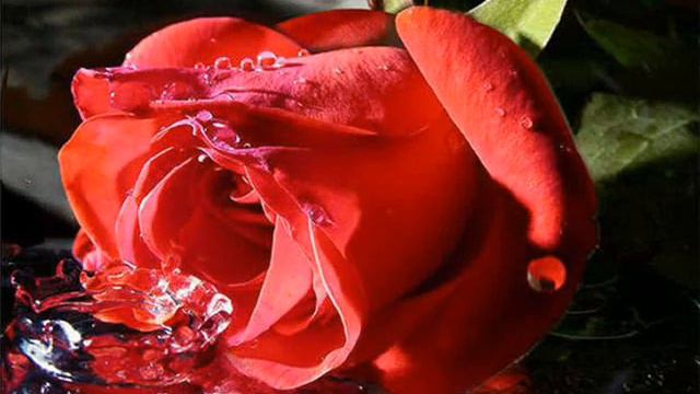 GAYATRI MATARAM смотреть онлайн