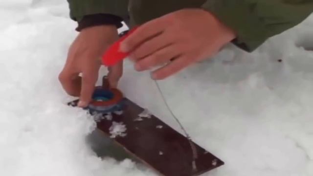 щука на жерлицы для нащинающих