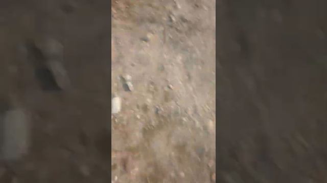 Зомби против людей 5 смотреть онлайн