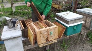 Противороевой метод Демари. Как вывести пчел из роевого состояния. Расширение пч