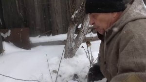 Легко поймать зайца капканом в собственнос саду