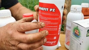 [Быстрый Налив] Плодов Томата |  Как Подкармливать томаты в Налив