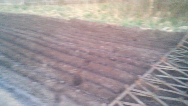 Ремонт культиватора трактора МТЗ смотреть онлайн