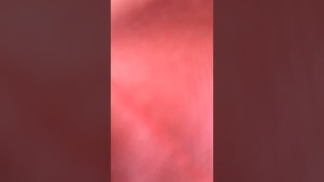 Review Ransel CONVERSE / Backpack CONVERSE Premium IMPOR смотреть онлайн