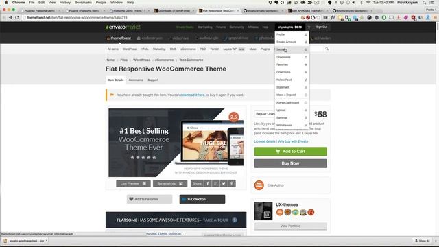 How To (Auto) Update Themeforest Wordpress Themes - Envato WordPress Toolkit смотреть онлайн