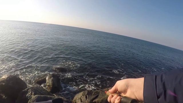 Ловля саргана на пилькер в январе смотреть онлайн