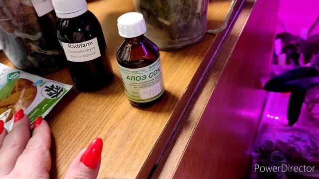 Именно поэтому не растут и не развиваются корни орхидей ? смотреть онлайн