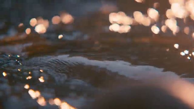 Ahuyenta Toda Mala Energía | Limpieza Aura Y Espacio | Elimina Toda La Energía Negativa смотреть онлайн
