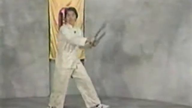 William Cheung - Baat Jaam Dao (Butterfly Swords)  | @HamptonLegacyMA