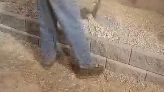 How To Build A Reinforced Retaining Wall Using Geogrid