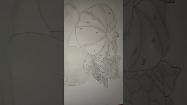 Vegetable drawingPumpkin,cucumber,tomato,spinach,cabbage and potatoe @kartiksart7947 смотреть онлайн