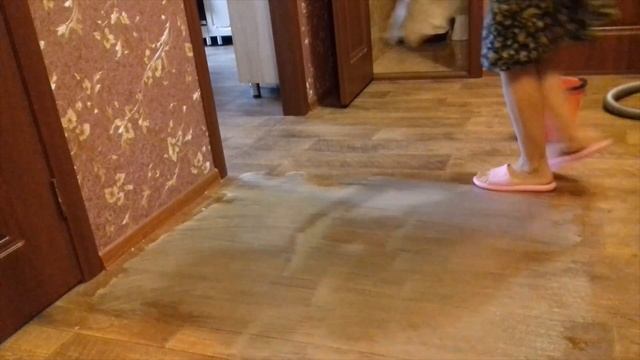 КАК ОТМЫТЬ ЛИНОЛЕУМ ПРОСТО И ЧИСТО смотреть онлайн