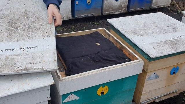 Утепление ульев весной залог хорошего развития пчелосемей. Чем утеплять ульи весной смотреть онлайн