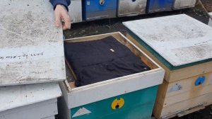 Утепление ульев весной залог хорошего развития пчелосемей. Чем утеплять ульи весной
