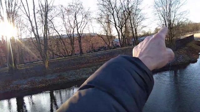 Бобры строители и зодчие Петербурга смотреть онлайн