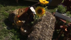 Играй, гармонь! | Григорий Смольянинов | Во саду ли, в огороде