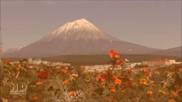 Камчатский край. Вулкан. Долина Гейзеров. Косатки. Котика. Нерка. Медведи - Юрий Бутович смотреть онлайн