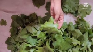 #Суперидея Ток баргини саклаш  сири.Винаградная листья. #дляголубцы