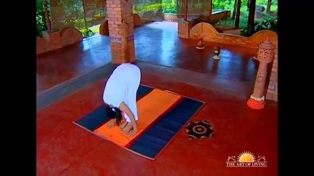 Surya Namaskar (Sun Salutation) Steps for Beginners | Surya Namaskara with Guided Meditation смотреть онлайн