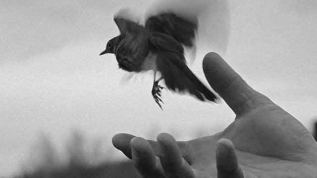 Anna Egoyan.Анна Егоян.-,,Я не боюсь...,, смотреть онлайн