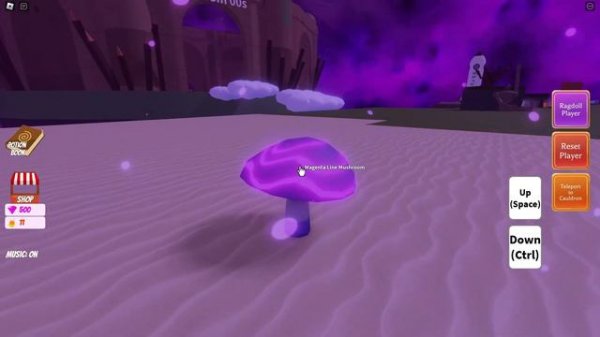 Where To Find All 8 Mushrooms 🍄 | Roblox Wacky Wizards | Unlock Magical Mushroom Ingredient