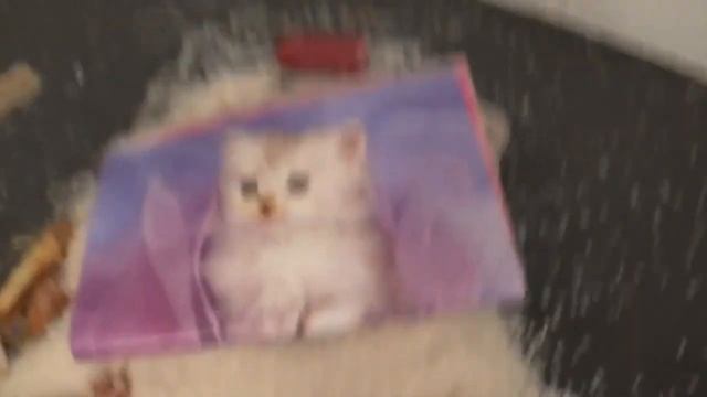 Как говорить на китайском языке смотреть онлайн