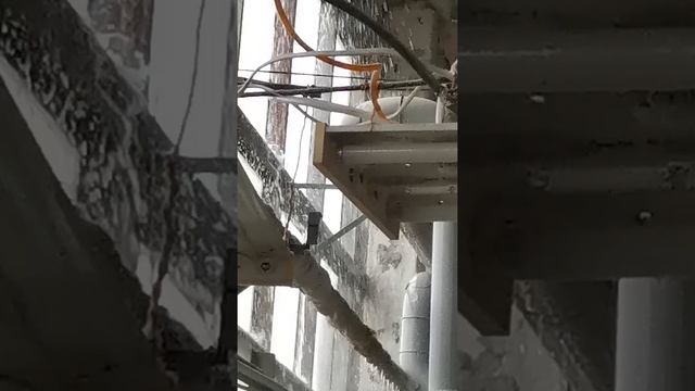 Даргез смотреть онлайн