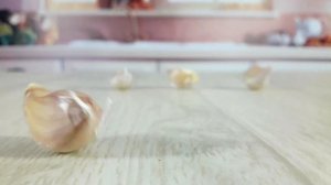 Как варить макароны, чтобы получился шедевр итальянской кухни. Домашний рецепт пасты!