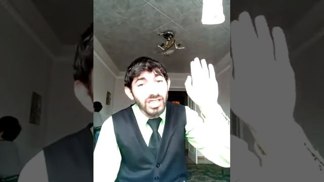 Вовка 2017 смотреть онлайн