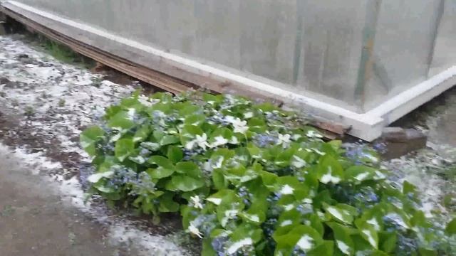 Тихвин 2 июня вот и лето пришло пойду печку растоплю!!! смотреть онлайн