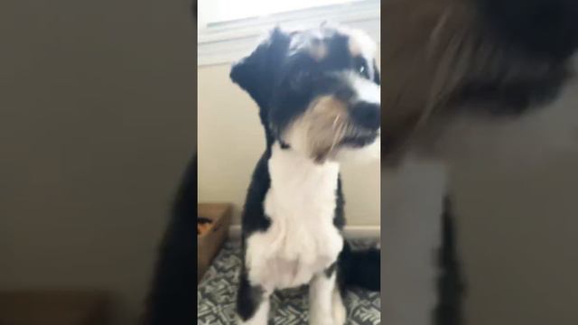 What trick did he do at the end? смотреть онлайн