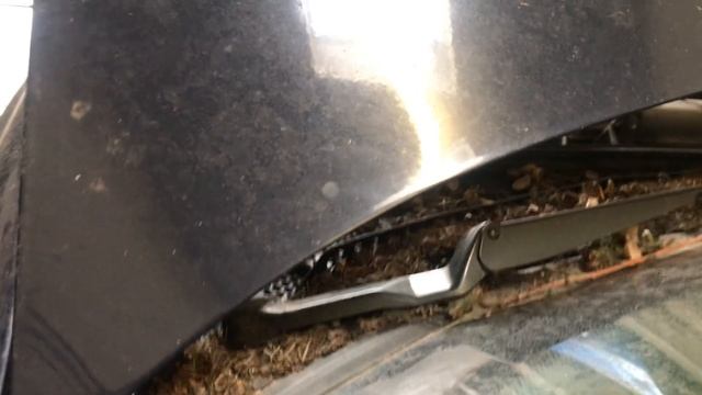 Разборка Volkswagen - Golf 3 1991-1997, 1.4 (VIN: WVWZZZ1HZSW438374) 36891 смотреть онлайн