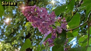 24 января Федосеев день: что категорически нельзя делать