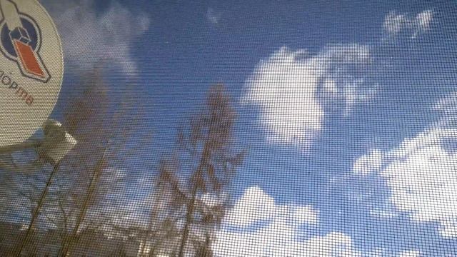 Свиньи Лесное дом 4. смотреть онлайн