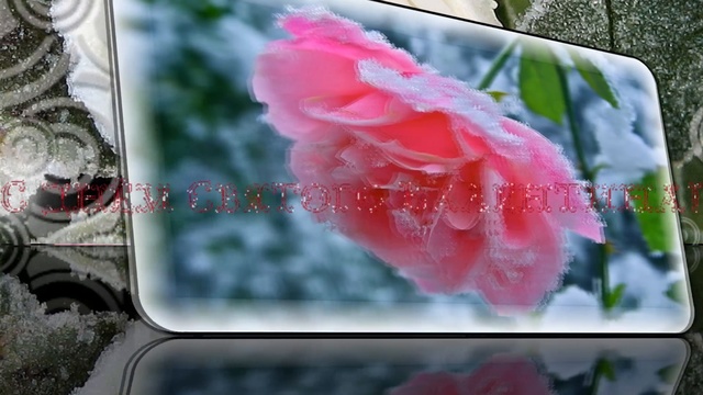 Поздравляю с днём всех влюблённых! смотреть онлайн