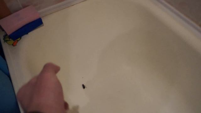 Жук в ванне смотреть онлайн