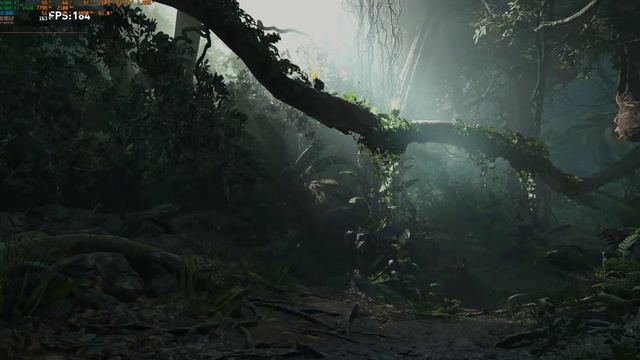 [1440p] Shadow Of The Tomb Raider Benchmark Highest Settings | Asrock RX 6900 XT Phantom Gaming смотреть онлайн