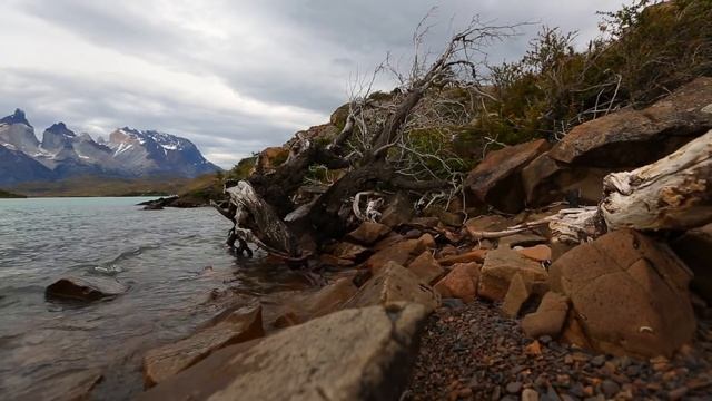 Internal Flight - Estas Tonne  (Russian Version)